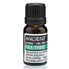 Bottle of AW Gifts Tea Tree Essential Oil for skin care, 10ml, with dropper cap and fresh tea tree leaves in the background.