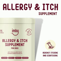 IMBY Allergy & Itch pet supplement in a bottle, featuring chewable tablets for pet allergy relief and skin comfort.
