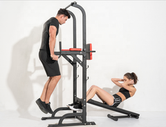Viking Fitness, Viking DS-24 (NG)