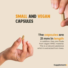 Cupplement Reishi Extract supplement capsules in a bottle, showing 60 gelatin capsules for immune support and wellness.