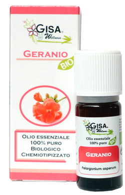 Geranium BIO - Pelargonium asperum - GREEN LIFE CYPRUS 