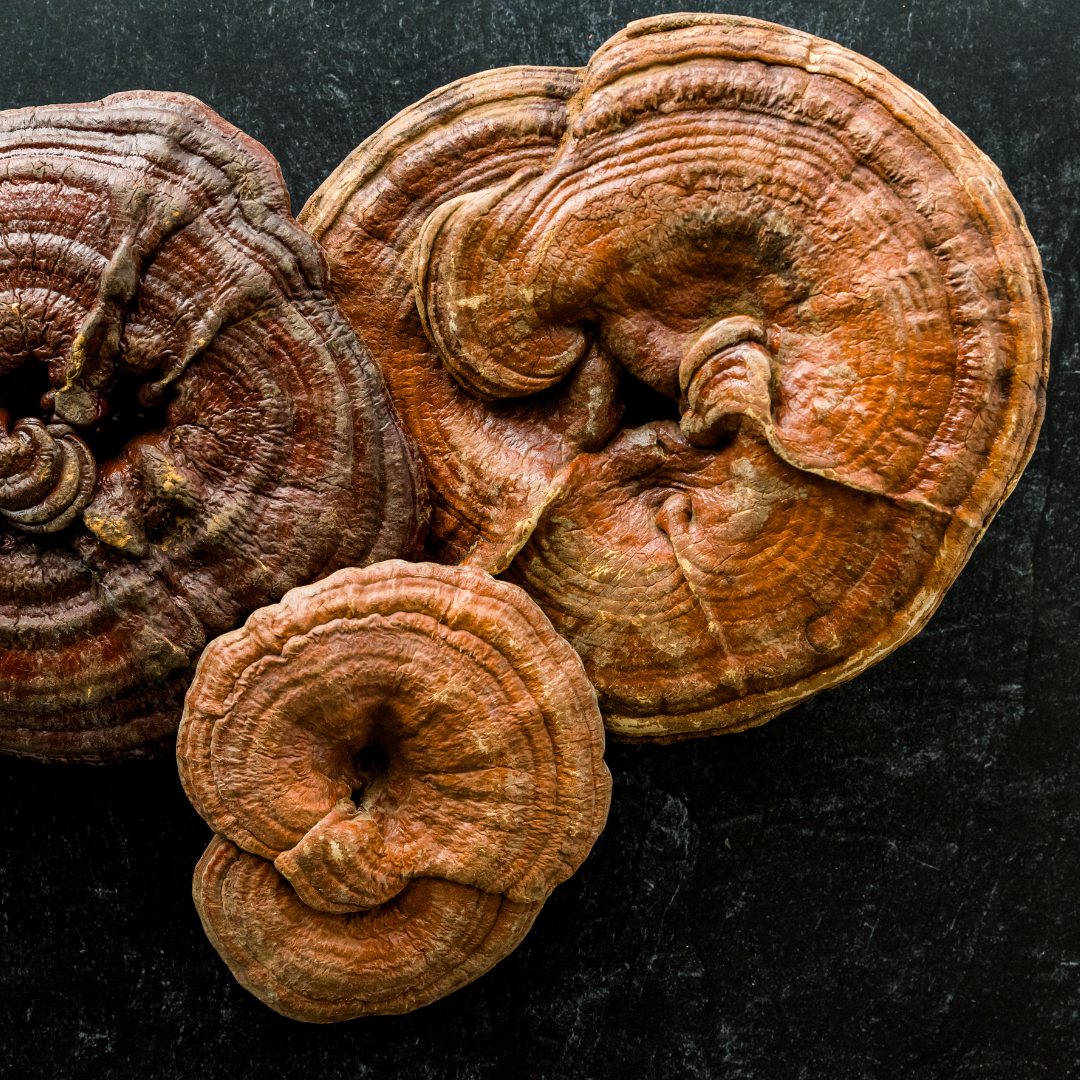 MUSHROOMS