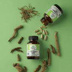 Organic India Liver-Kidney Care supplement by Herbalistas, 90 capsules, featuring natural herbal ingredients for liver and kidney support.
