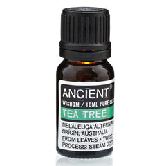 AW Gifts, Tea Tree Essential Oil, 10ml