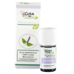 Patchouli BIO - Pogostemon cablin - Gisa - GREEN LIFE CYPRUS