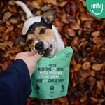 IMBY Snooze & Sleep dog product, 100g container with herbal supplement for calming and relaxation in dogs.