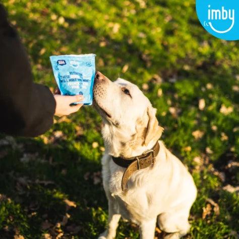 IMBY dental sticks for dogs, 100g pack, showing three natural, chewable dog treats with a textured surface for oral health.