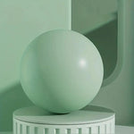 TEMU premium thick Pilates ball, 24.99cm diameter, exercise accessory shown in vibrant green color on a white background.