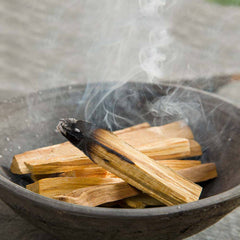 AW Gifts, 25g Green Tree Palo Santo Sticks 3-4 sticks