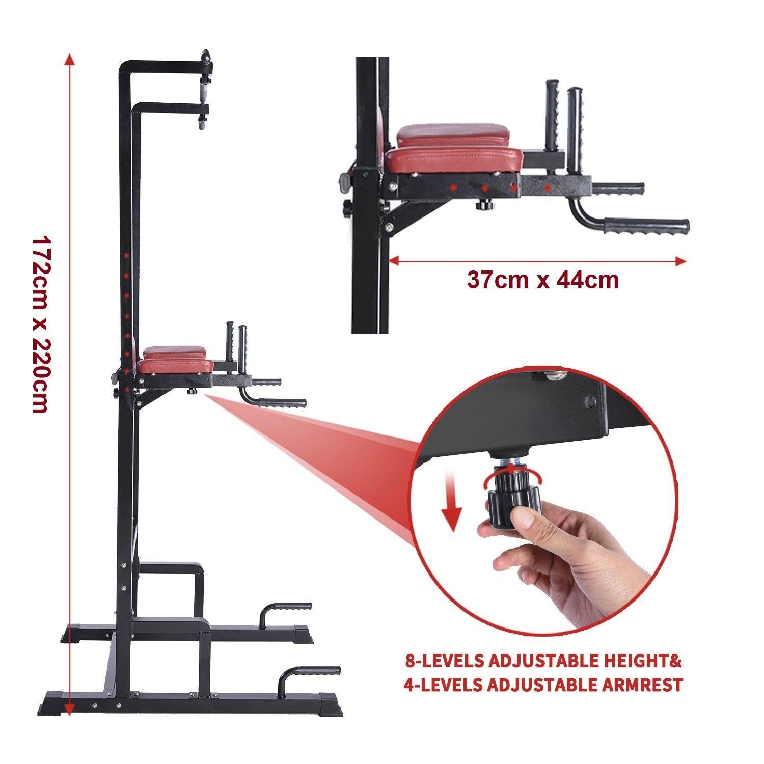 VIKING FITNESS TF-01 pull-up and dip station with sturdy metal frame and padded grips for strength training exercises