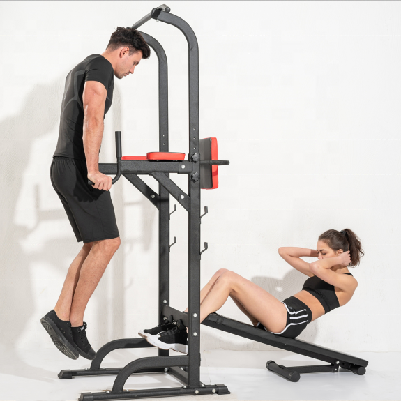 Viking Fitness, Viking DS-24 (NG)