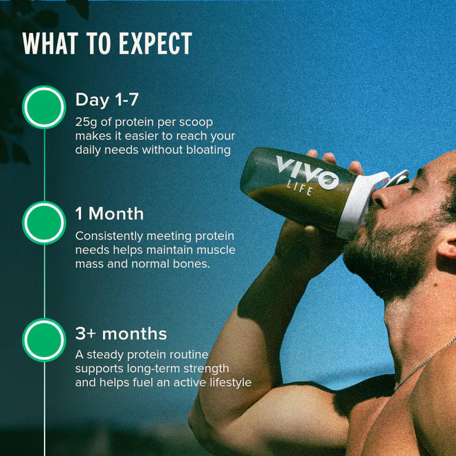 LARGE PERFORM Raw Plant Protein &amp; BCAA - Vivo Life