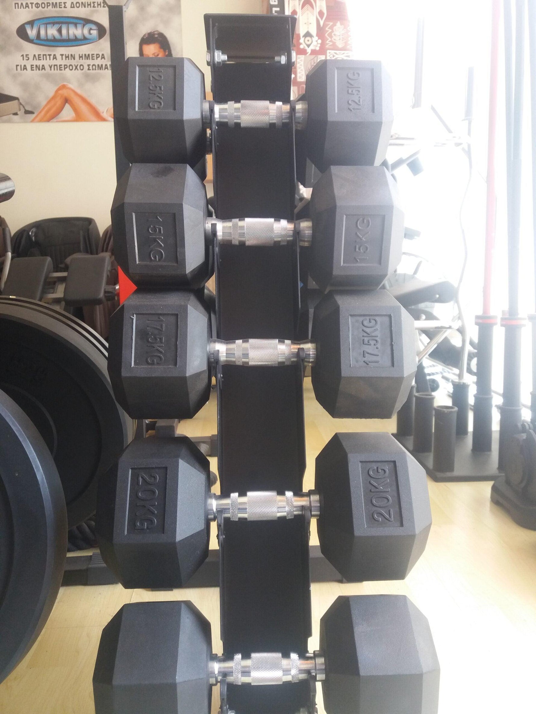 Viking Fitness Viking S-10 Dumbbell Stand with adjustable dumbbells on a plain background.