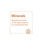 NOW Foods Colloidal Minerals supplement in a 32 fl oz bottle, natural mineral liquid supplement from MKSTAVRINOS.