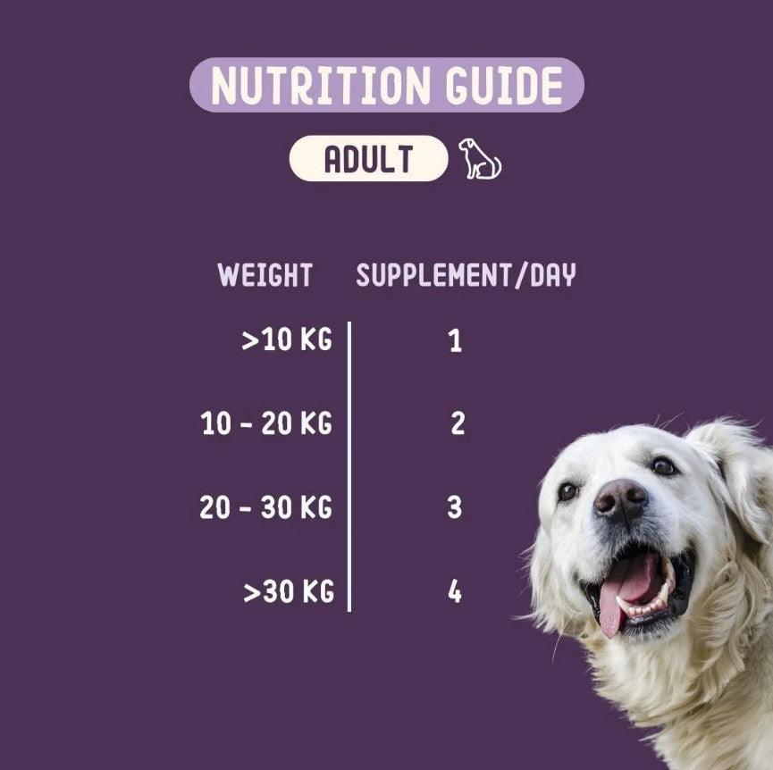 IMBY Hip & Joint supplement for dogs, showing a container with tablets and a dog relaxing nearby.