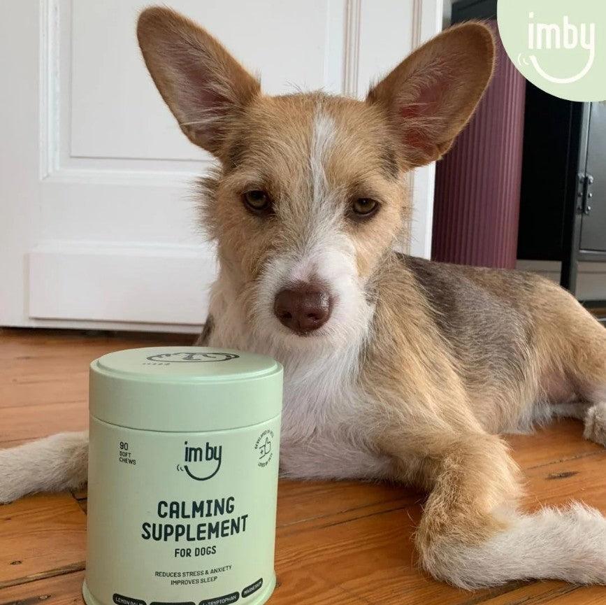 IMBY Calming dog product packaging with calming ingredients and soothing design, intended to help reduce dog anxiety and stress.