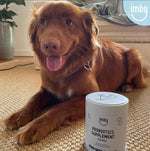IMBY probiotics for dogs, showing the supplement bottle with labeled dosage and ingredients on a clean background.