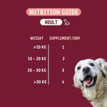 IMBY Skin Health dog supplement bottle with label showing product details and branding for canine skin support.