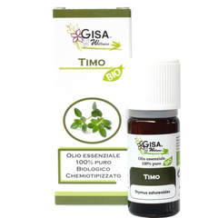 Thyme BIO - Thymus satureoides - Gisa - GREEN LIFE CYPRUS