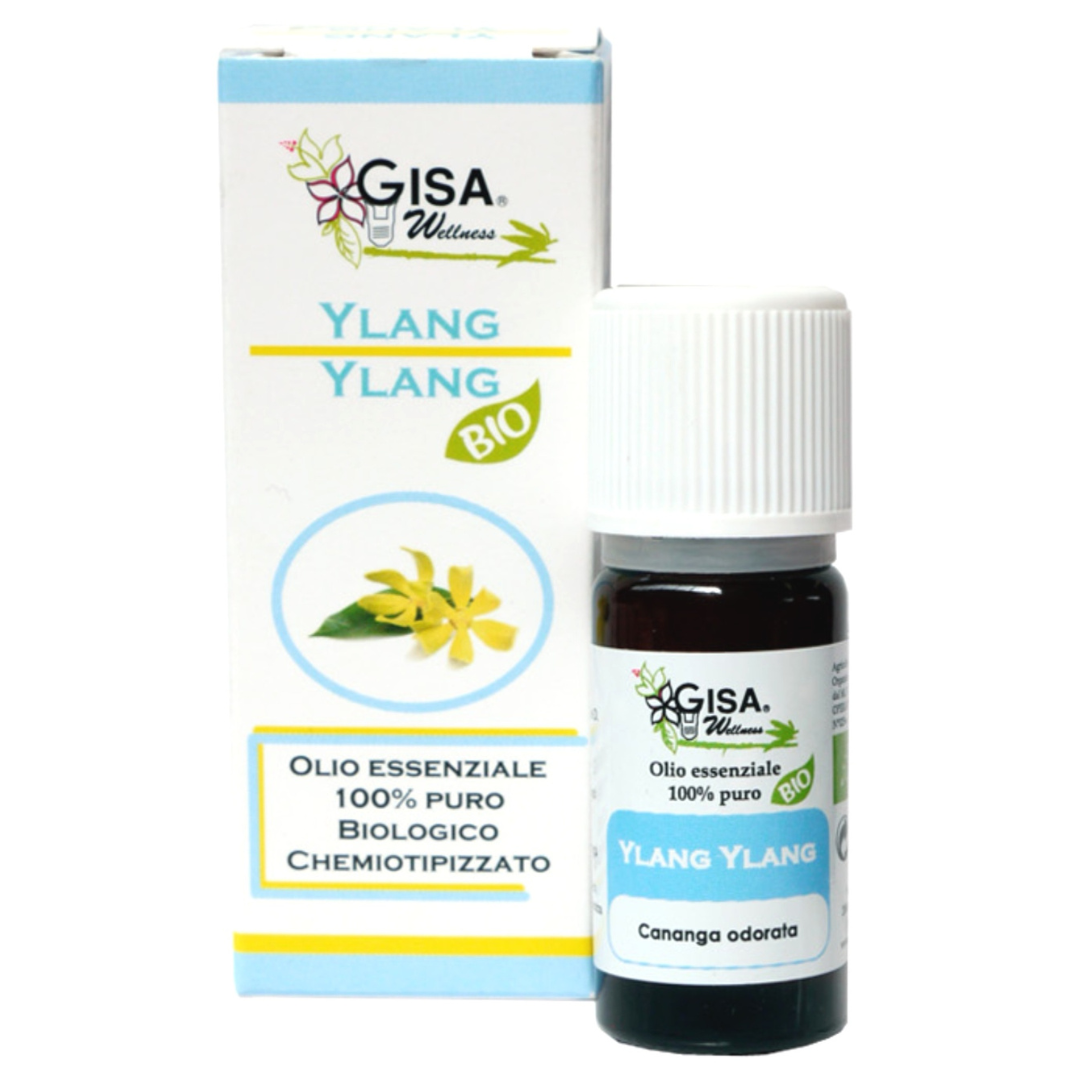 Ylang ylang BIO - Cananga odorata - Gisa - GREEN LIFE CYPRUS