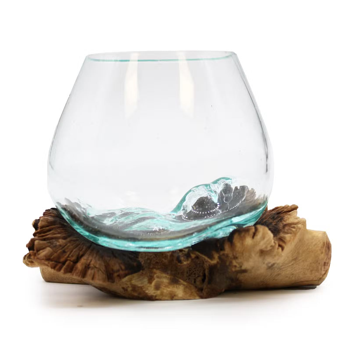 Molten Handmade Glass on Rare Parasite Wood