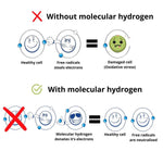 Herbalistas Nord Hydrogen Water Bottle in Horizon Black, 280ml, with illustration of hydrogen infusion process.