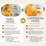Old Products Connemara Irish Seamoss and Bladderwrack powder in a jar with fresh seaweed and herbal ingredients on a natural background.