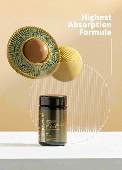 Liposomal Spermidine Fusion supplement by Herbalistas in a bottle with 30 vegan capsules for enhanced absorption.