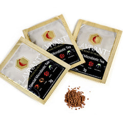 Lavivant, Korean Red Ginseng, Microbiotic Tea, with Reishi, Chaga, Jujube, Aronia, 20 Sachets - GREEN LIFE CYPRUS