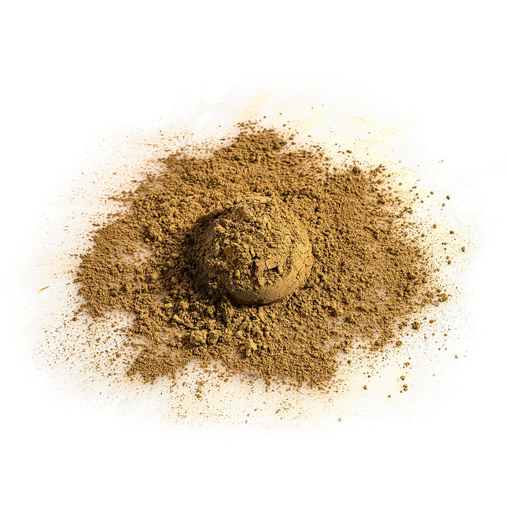 Organic Hojicha powder by Herbalistas in a 100g package, showing finely ground roasted green tea leaves.