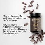 Herbalistas Purovitalis NAD+ Booster supplement capsules, showing the bottle and label for energy and anti-aging support.