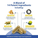 Natagra male vitality supplement by Strength & Spices, 1000mg capsules for enhanced strength and vitality, shown in the image.