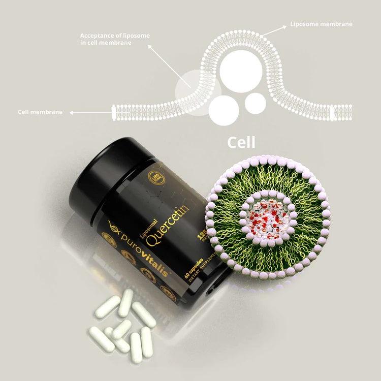 Liposomal Quercetin vegan supplement capsules by Herbalistas, showing a close-up of the supplement pill on a white background