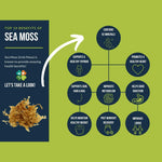 Organic Irish Seamoss and Bladderwrack powder from Connemara, shown in a glass jar with seaweed and powder on a wooden surface.