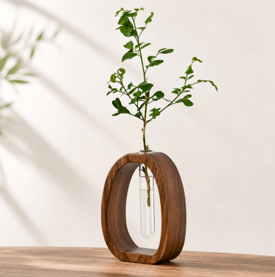 Walnut wood and glass hydroponic vase with a small base, minimalist plant holder for indoor plants and modern decor.