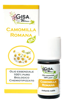 Roman Chamomile BIO - Anthemis nobilis - GREEN LIFE CYPRUS 