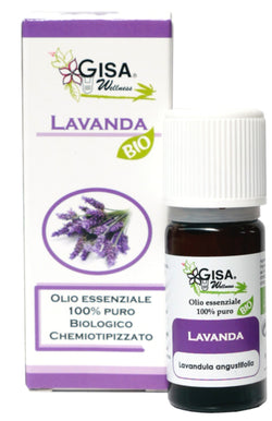 Lavender BIO (Lavandula angustifolia) - GREEN LIFE CYPRUS 