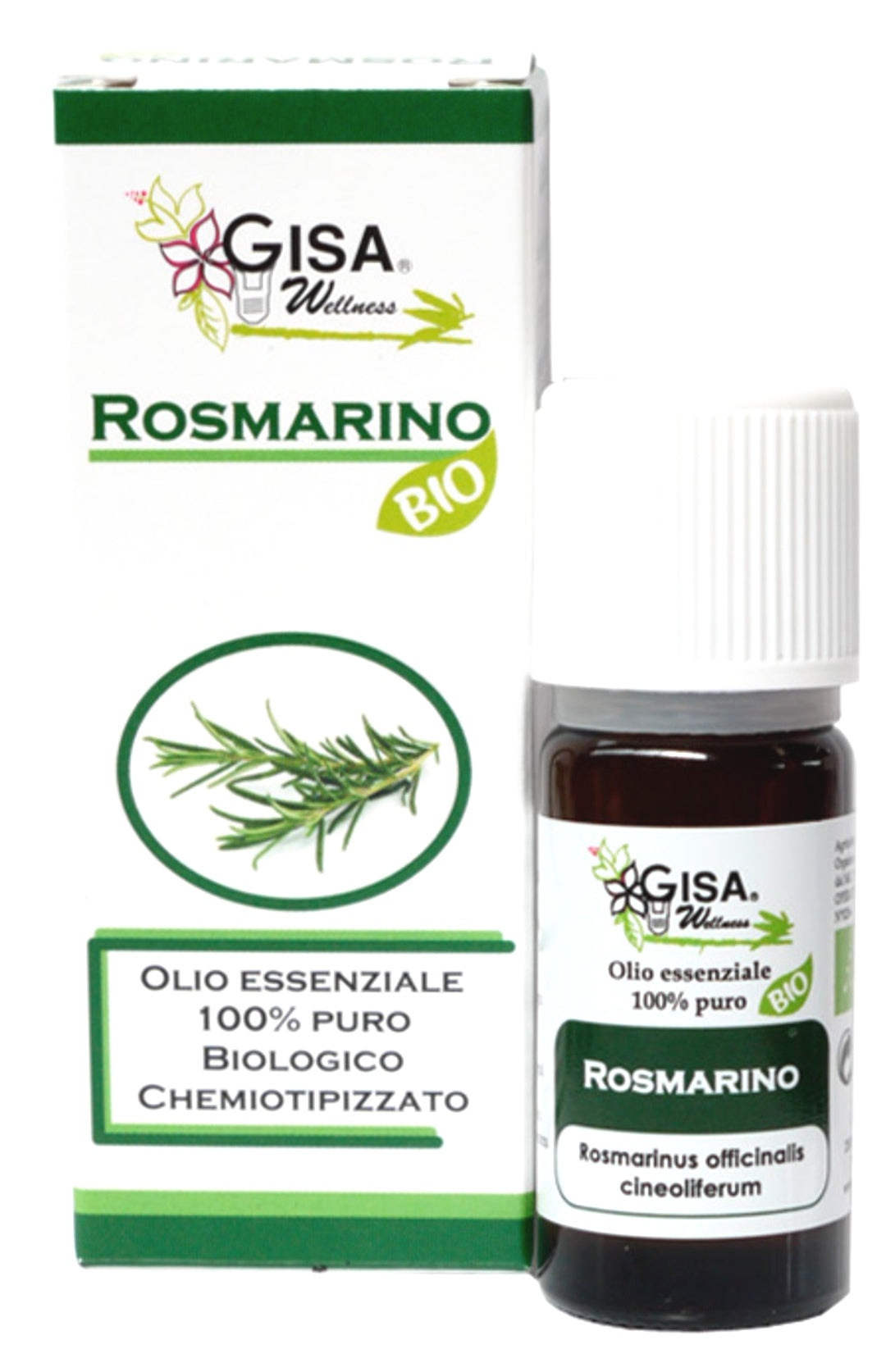 Rosemary BIO - Rosmarinus officinalis cineoliferum - GREEN LIFE CYPRUS 