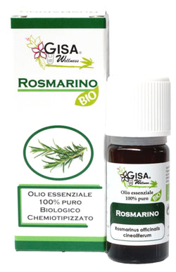 Rosemary BIO - Rosmarinus officinalis cineoliferum - GREEN LIFE CYPRUS 