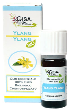 Ylang ylang BIO - Cananga odorata - GREEN LIFE CYPRUS 
