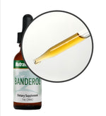 SENTOSA Nutramedix Banderol microbial defense supplement packaging with label details and product information.