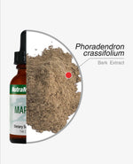 SENTOSA Nutramedix MAPALONEURO SUPPORT supplement bottle with label and capsules on a white background.