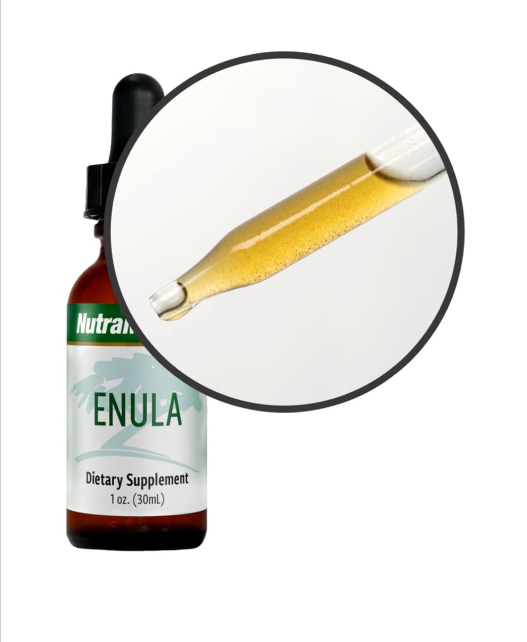 Sentosa Nutramedix Enula Microbial Defense supplement bottle with label details, displayed on a white background.