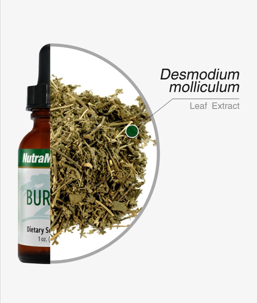 SENTOSA Nutramedix Barbary Microbial Defense supplement bottle with label details, featuring green and white packaging design.