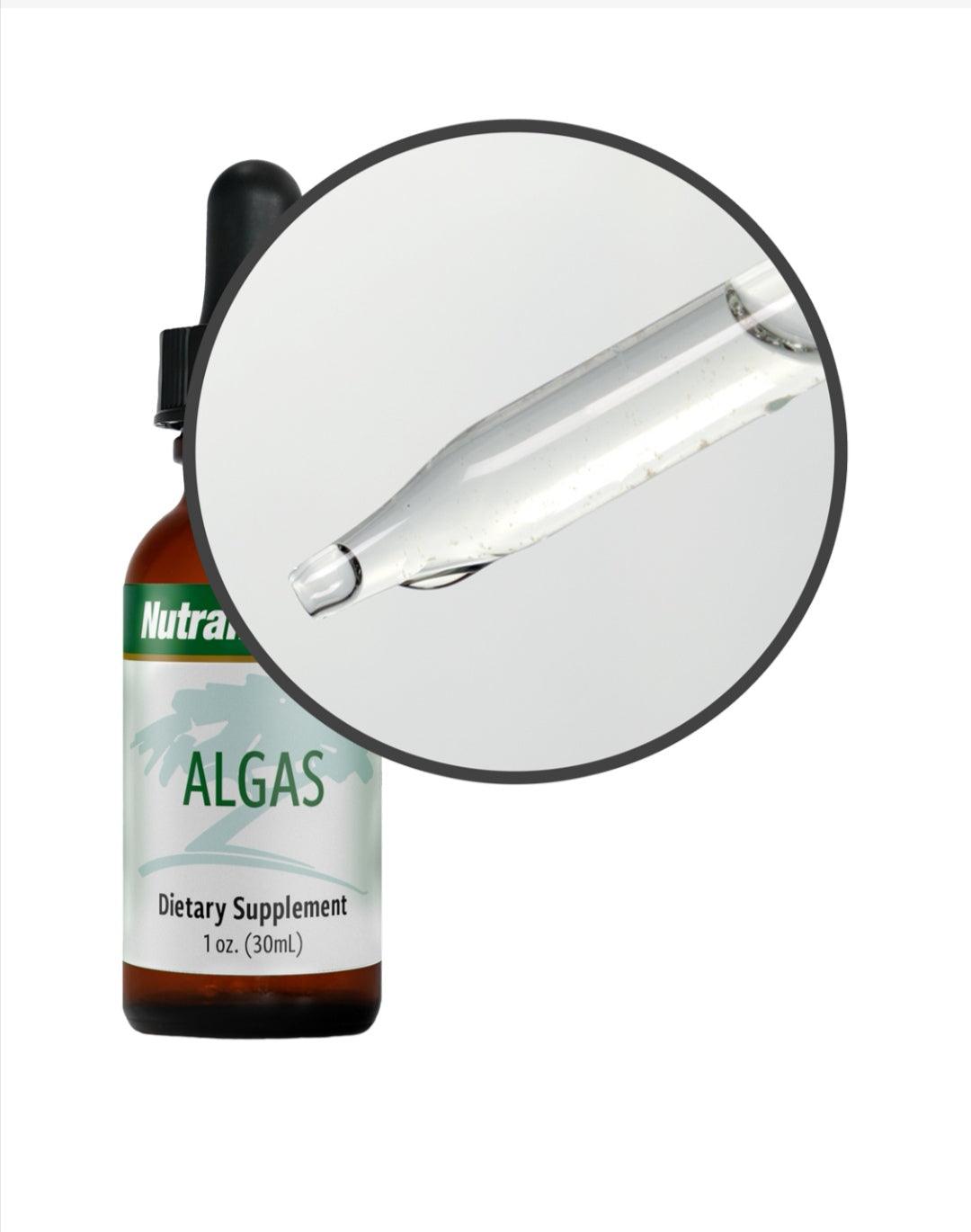 SENTOSA Nutramedix ALGAS Metal Detox supplement bottle with label, showing a dietary supplement for detoxification and health support.