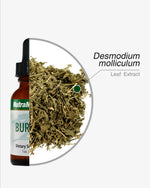 SENTOSA Nutramedix Burbur detox supplement bottle with label, showcasing herbal supplement for detox and cleansing.
