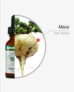SENTOSA Nutramedix MACA supplement bottle with label, designed to support hormonal balance and overall wellness.
