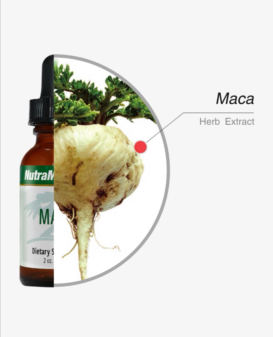 SENTOSA Nutramedix MACA supplement bottle with label, designed to support hormonal balance and overall wellness.